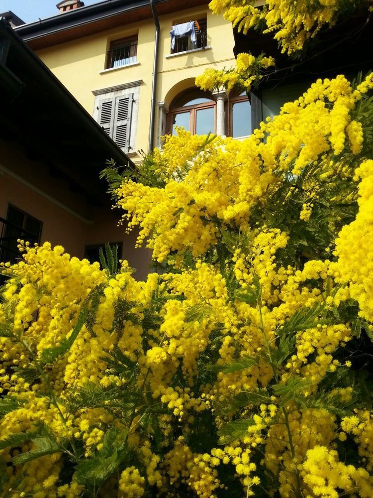 Villa Omas Haus Toscolano-Maderno Exterior foto